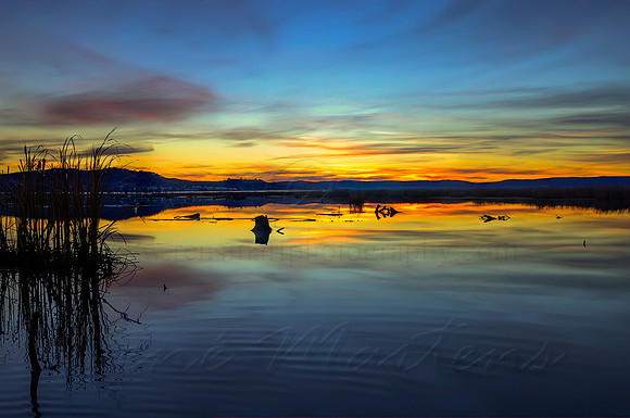 2013_06_21_00038412_3_4_tonemapped