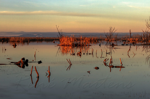 2013_07_31_00045419_20_21_tonemapped