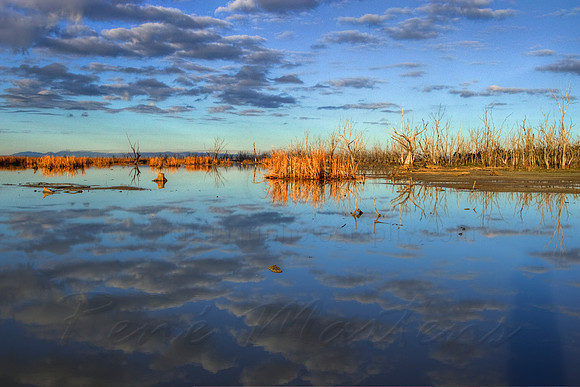 2013_07_12_00042738_39_40_tonemapped