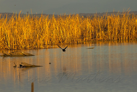 2013_08_01_00045651_2_3_tonemapped