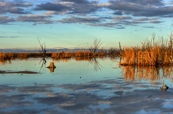 2013_07_12_00042717_8_9_tonemapped