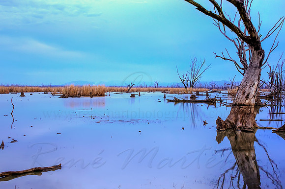 2013_07_27_00045016_7_8_tonemapped