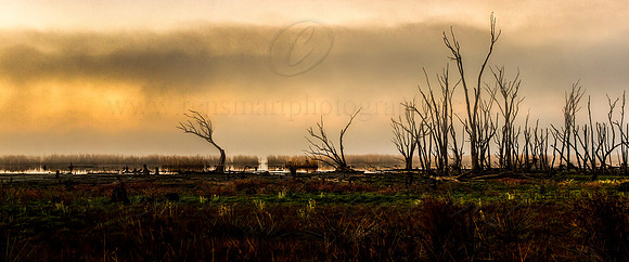 Untitled_Panorama2