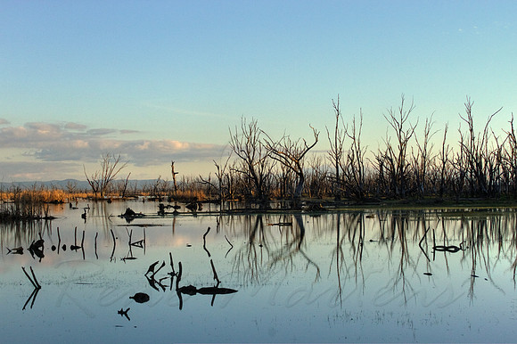 2013_08_01_00045669_70_71_tonemapped