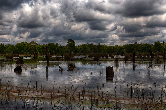 2015-11-06-099415_HDR