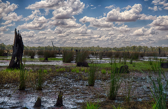 2015-12-23-102824_HDR