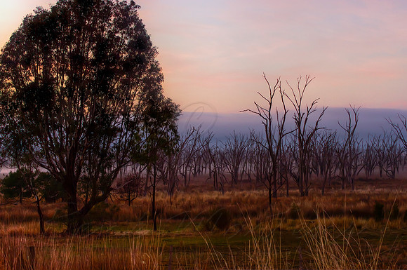 2013_07_02_00040971_2_3_tonemapped