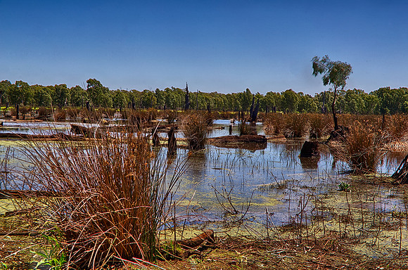 2015-12-09-102036_HDR
