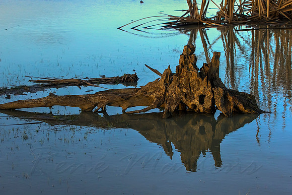 2013_08_06_00045938_39_40_tonemapped