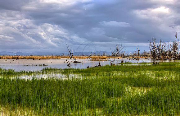 2013_08_30_00053987_88_89_90_91_tonemapped