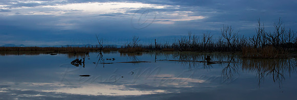 Winton Wetlands - Sunrise 3