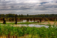 2016_02_02_00002348_HDR