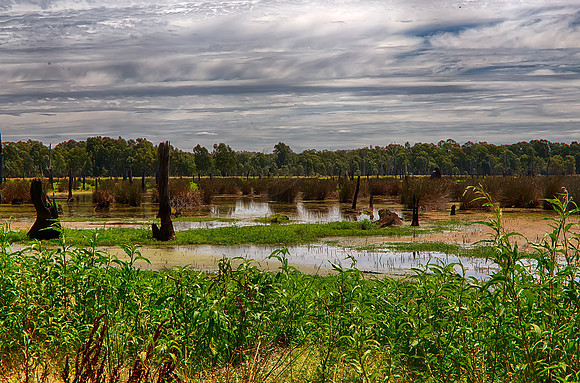 2016_02_02_00002348_HDR