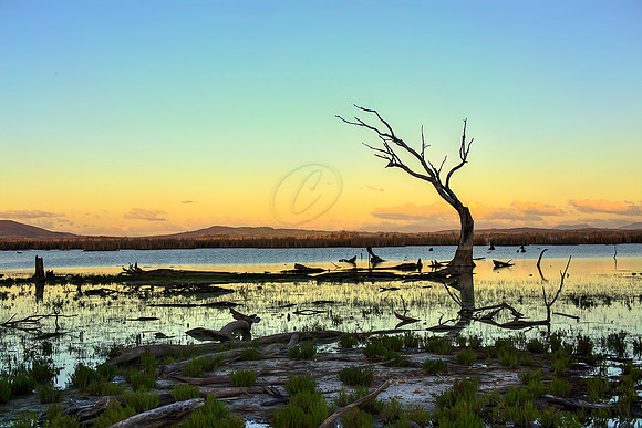 2013_08_12_00048357_8_9_tonemapped