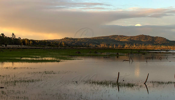 Untitled_Panorama1