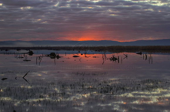 2013_08_01_00045607_8_9_tonemapped