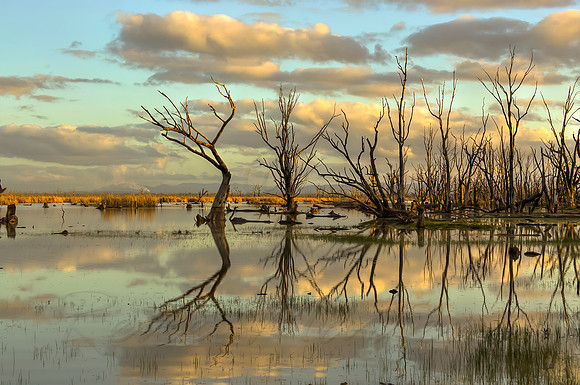 2013_08_15_00048600_1_2_3_4_tonemapped