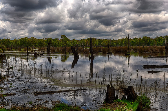2015-11-06-099387_HDR