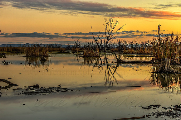 2013_05_21_00033359_60_61_tonemapped
