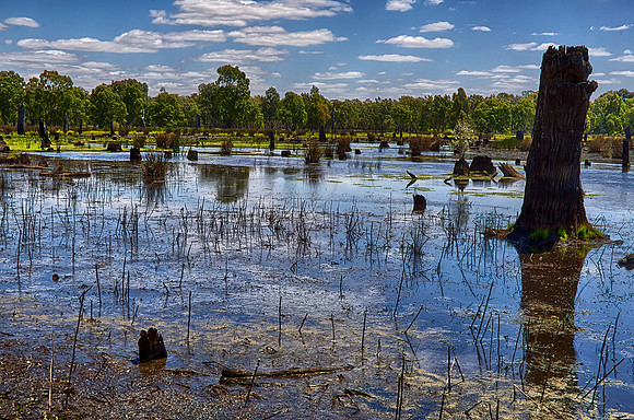 2015-11-27-101214_HDR