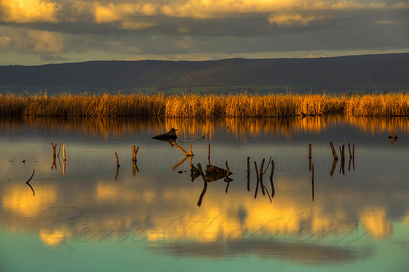 2013_08_15_00048630_1_2_3_4_tonemapped