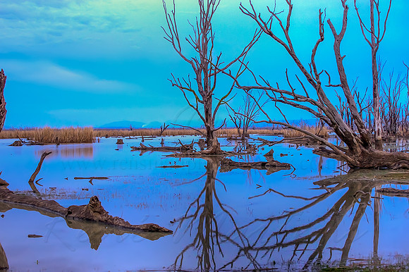 2013_07_27_00045022_3_4_tonemapped