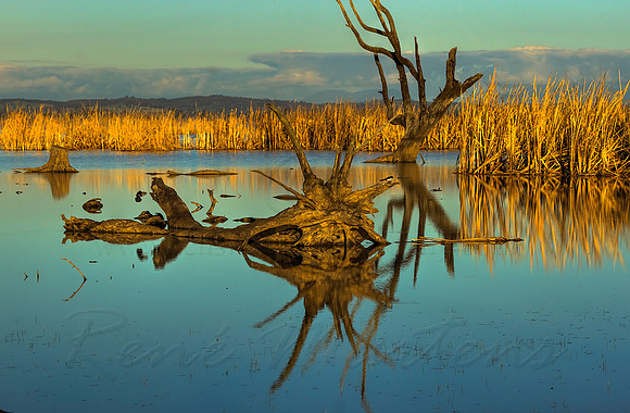 2013_07_31_00045546_7_8_tonemapped