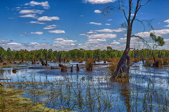 2015-11-27-101251_HDR