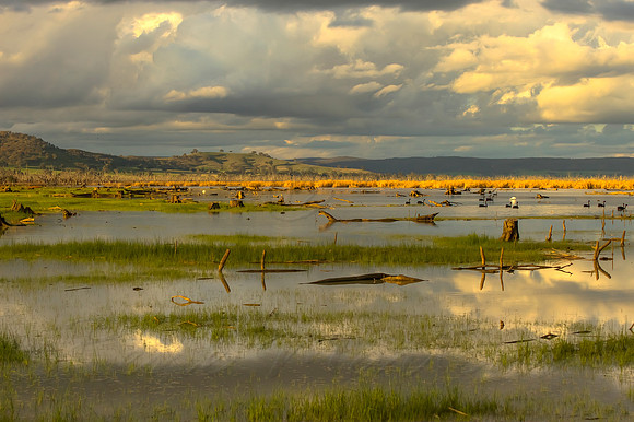 2013_07_29_00045134_5_6_tonemapped