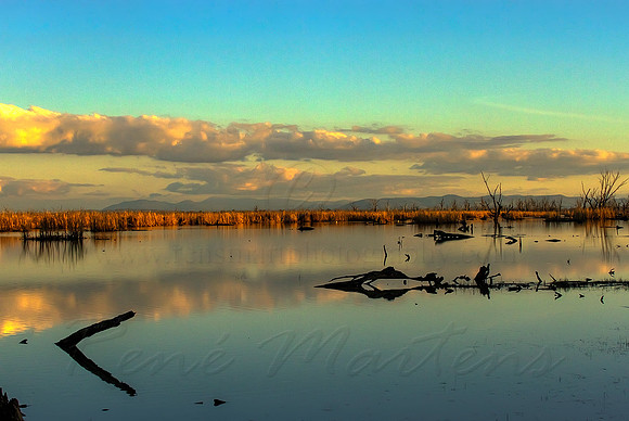 2013_08_01_00045697_8_9_tonemapped