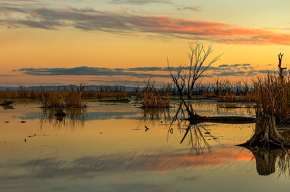 2013_05_21_00033344_5_6_tonemapped