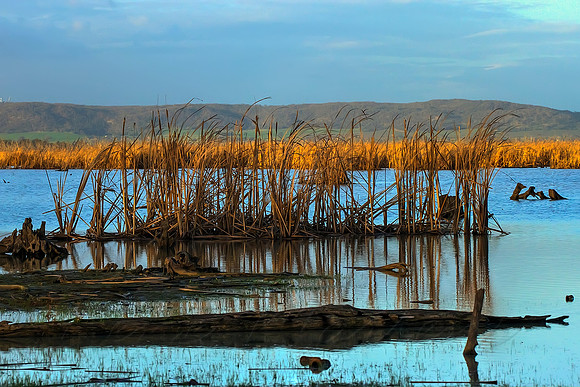 2013_08_06_00045932_3_4_tonemapped
