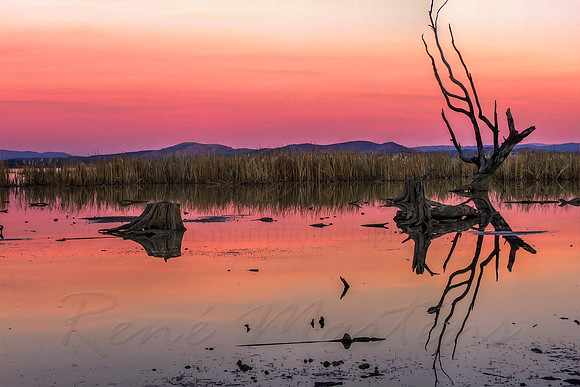 2013_06_23_00040394_5_6_tonemapped