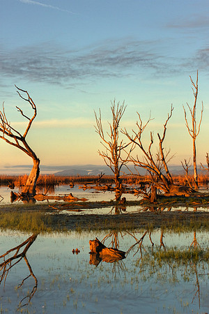 2013_07_31_00045482_3_4_tonemapped