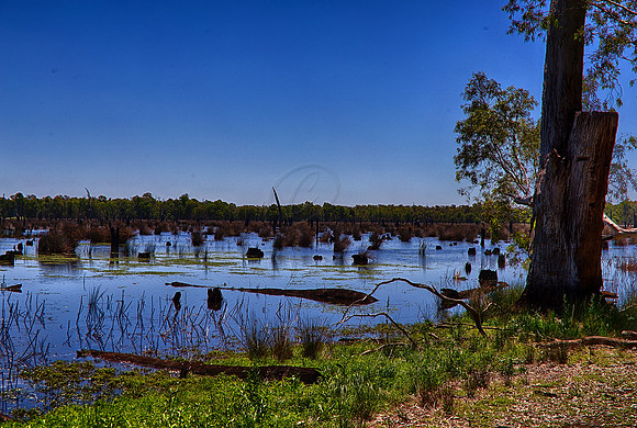 2015-11-13-100282_HDR