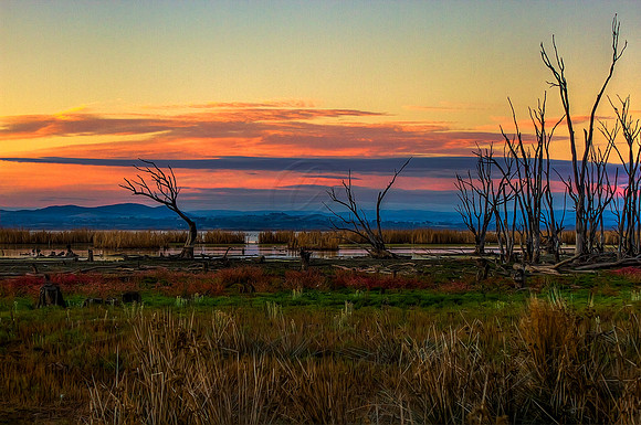2013_06_11_00037311_2_3_tonemapped
