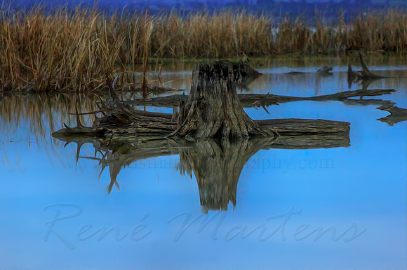 2013_07_27_00045108_09_10_tonemapped