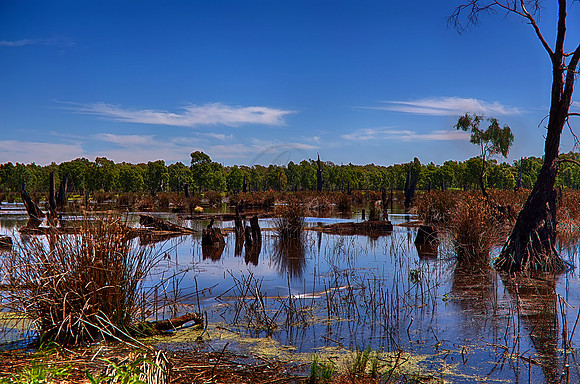 2015-11-24-101014_HDR