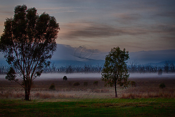 2013_07_02_00040977_HDR