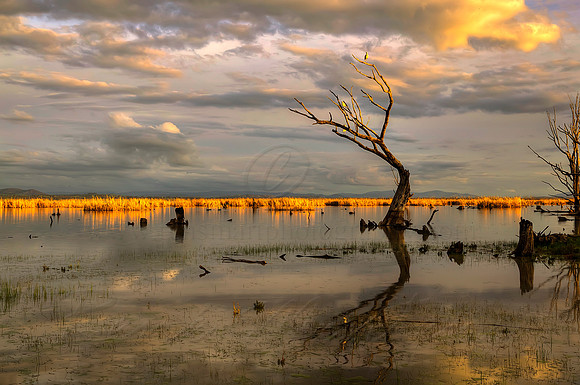 2013_08_26_00053824_5_6_7_8_tonemapped