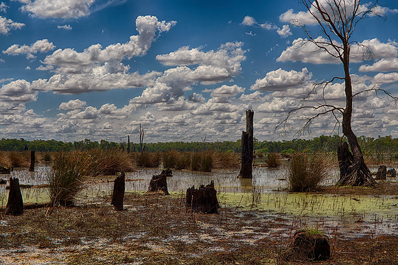 2015-12-23-102778_HDR