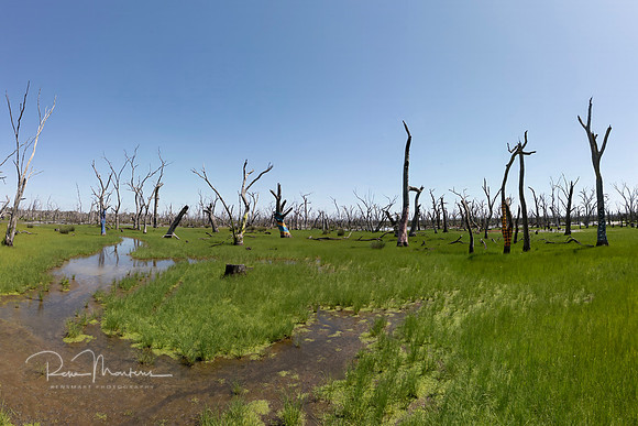 Water Gallery 2