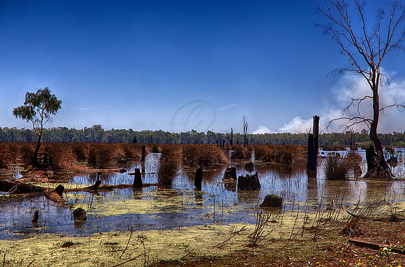 2015-12-09-102009_HDR