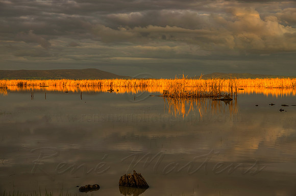 2013_08_26_00053804_5_6_7_8_tonemapped