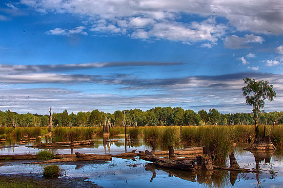 2017_03_23_00044771_HDR