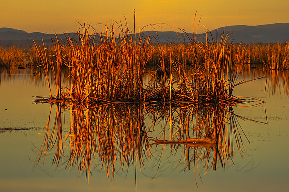 2013_07_31_00045464_5_6_tonemapped