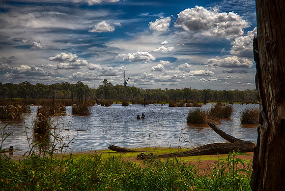 2016_02_19_00004587_HDR