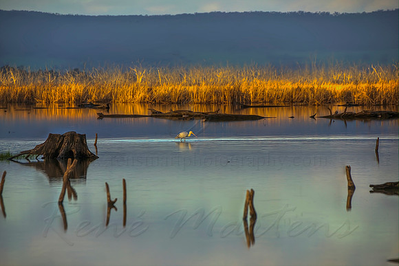 2013_08_15_00048605_6_7_8_9_tonemapped