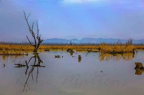 2013_11_08_00070302_3_4_5_6_tonemapped