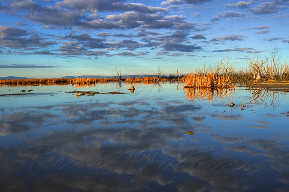 2013_07_12_00042723_4_5_tonemapped